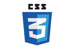 【初心者向け】ワードプレスのCSSを編集/追加/調整する方法